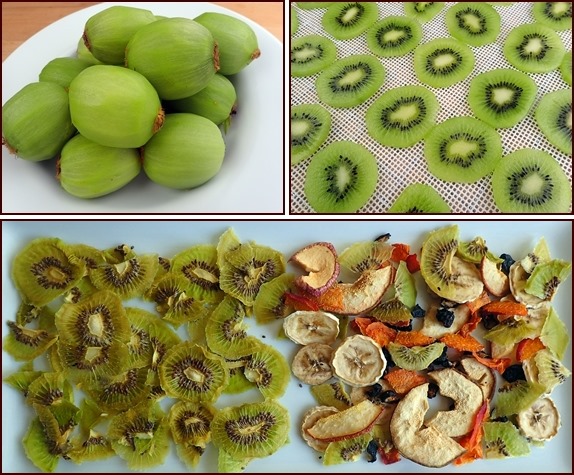 Dehydrating kiwi in slices. Dehydrated kiwi fruit has a sweet-tart flavor, and it tastes great in a snack sack with other dried fruits.