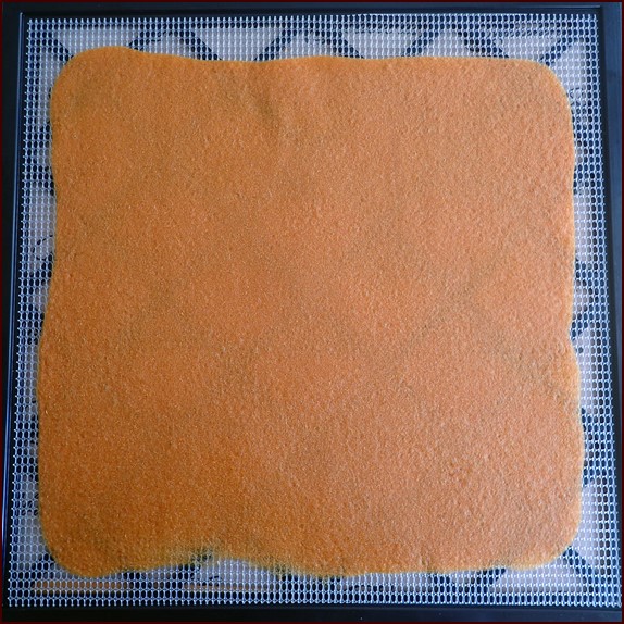https://www.backpackingchef.com/images/apricot-fruit-leather-dehydrated.jpg