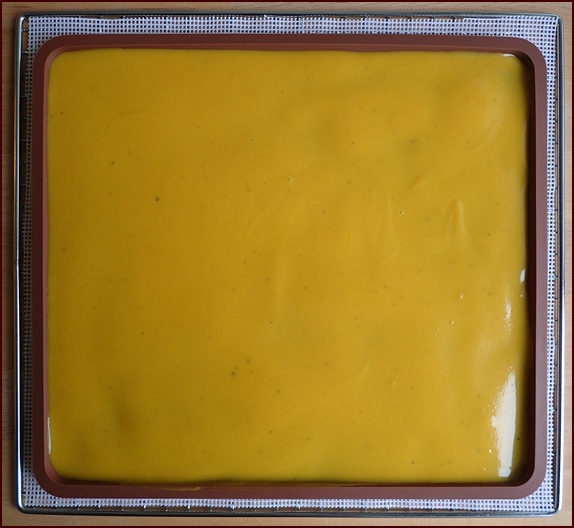 Dehydrating butternut squash soup on silicone tray.