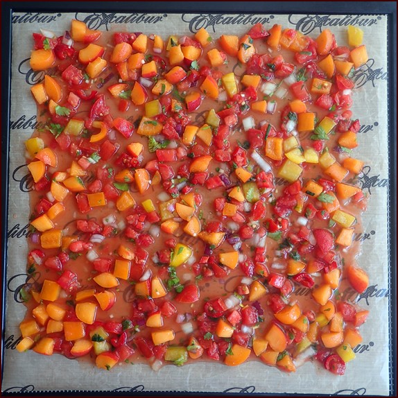 https://www.backpackingchef.com/images/dehydrating-apricot-salsa-tray.jpg