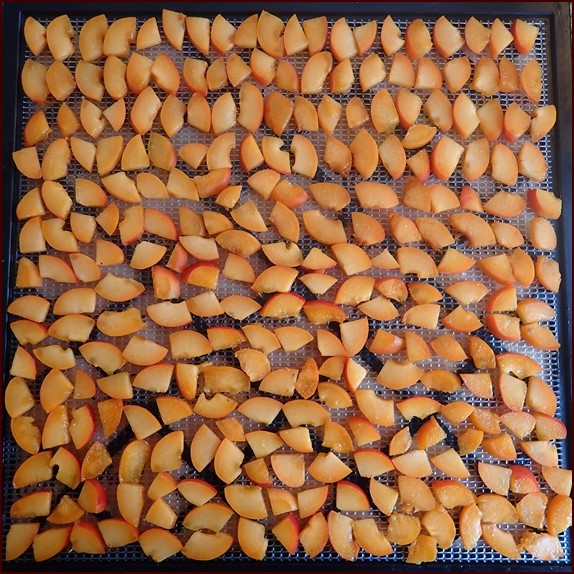 https://www.backpackingchef.com/images/dehydrating-apricots-sliced.jpg