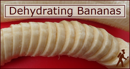 Dehydrating Bananas | Dehydrator Recipes for Puddings & Snacks