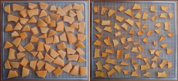 Dehydrating cantaloupe before & after.