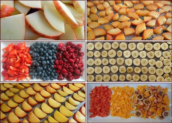 Why You Should Never Put Dried Fruit In The Blender