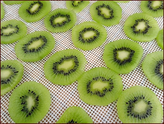 Sliced kiwi on silicone mesh dehydrator sheet.