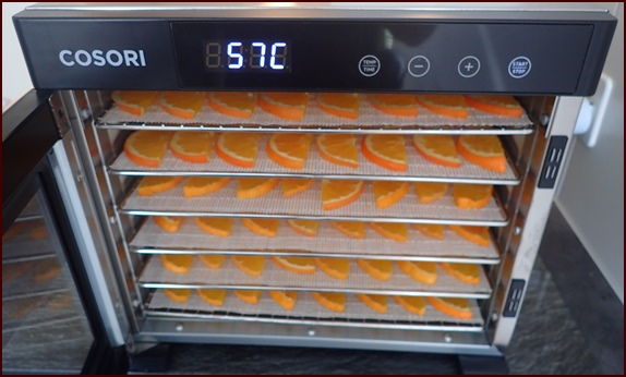 Dehydrating oranges in a Cosori dehydrator.