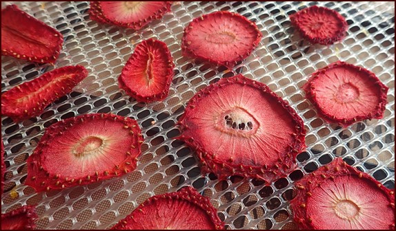 How to Dehydrate Strawberries - Fresh Off The Grid