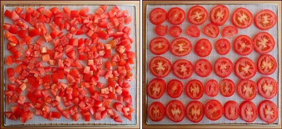 Diced and sliced tomatoes on mesh dehydrator sheets.