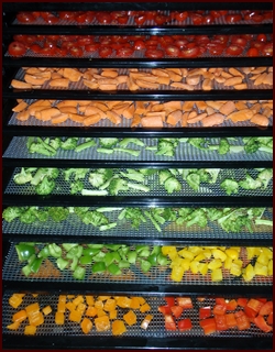 Dehydrating Vegetables - 