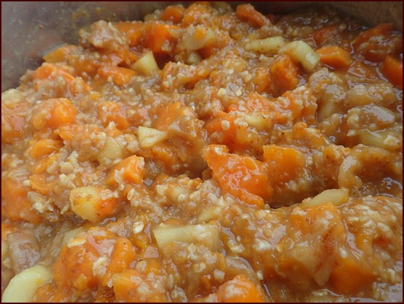 Figs, sweet potatoes, apples, and oats cooking in pot.