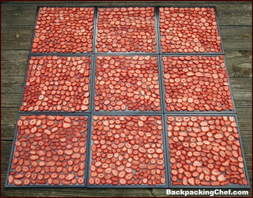 https://www.backpackingchef.com/images/food-dehydrator-strawberries-9tray.jpg