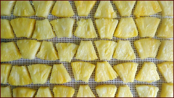 Pineapple chunks on dehydrator tray.