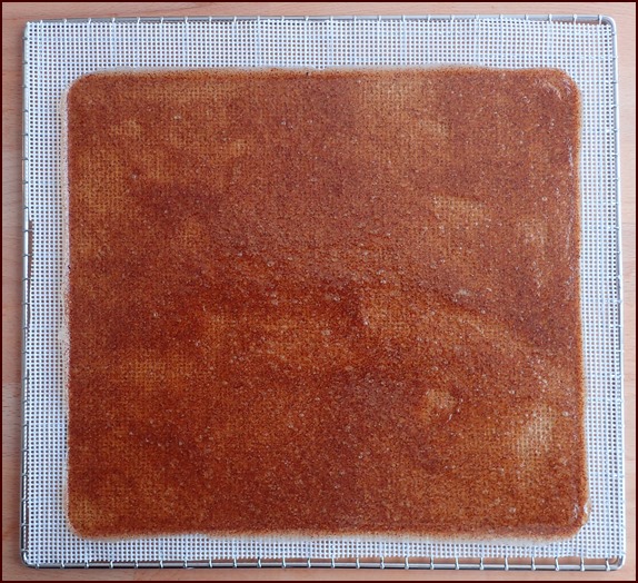 Banana-Kiwi fruit leather after drying.