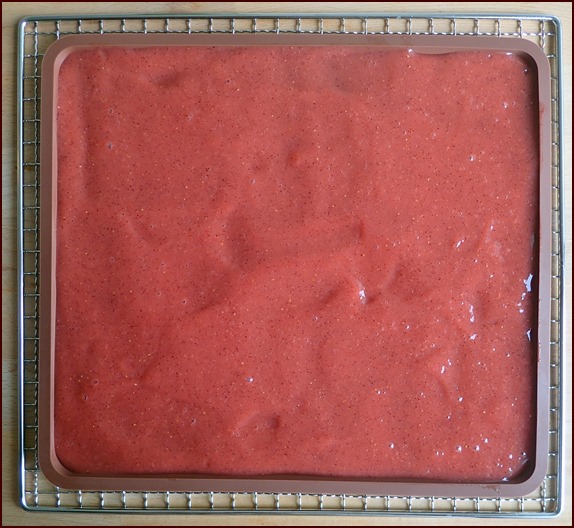 Blended kiwi and strawberries on silicone dehydrator tray.