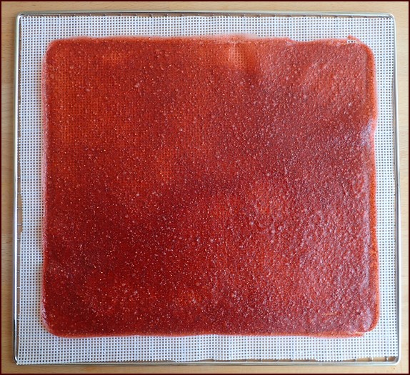 Strawberry-kiwi fruit leather after flipping onto silicone mesh dehydrator sheet.