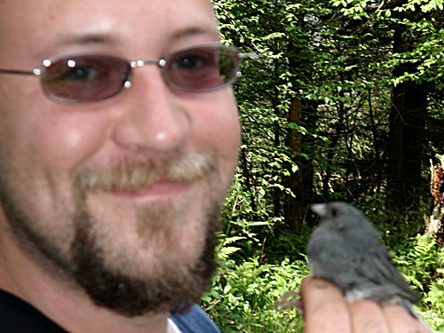 Dark-eyed Junco at Newfound Gap, Great Smoky Mountains National Park, Appalachian Trail