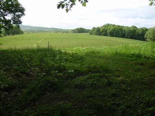 Hiking the Appalachian Trail between Double Springs Shelter and Vandeventer Shelter.