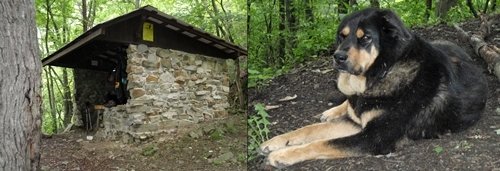 Laurel Fork Shelter, Appalachian Trail, Tennessee.