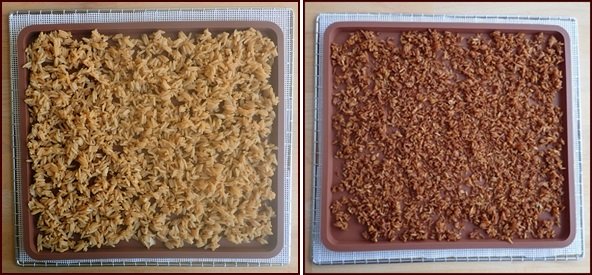 2 cups of cooked and seasoned jasmine rice on silicone tray before and after dehydrating.