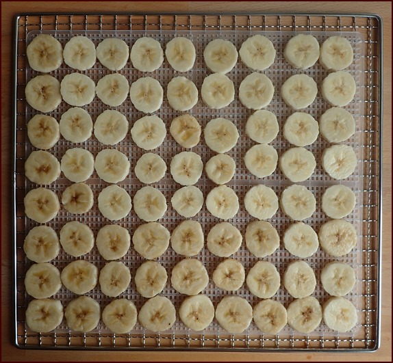 Dehydrating bananas on Cosori brand mesh sheet.