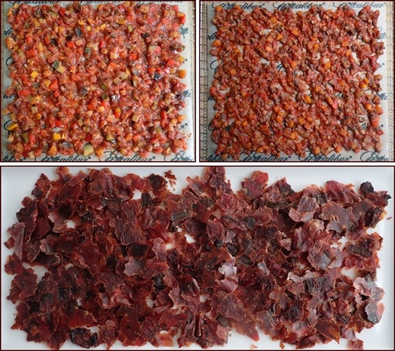 Dehydrating ratatouille tomato sauce in Cosori dehydrator.