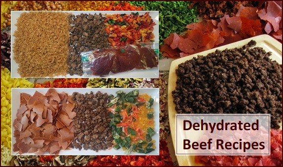 Dehydrated Beef Recipes.