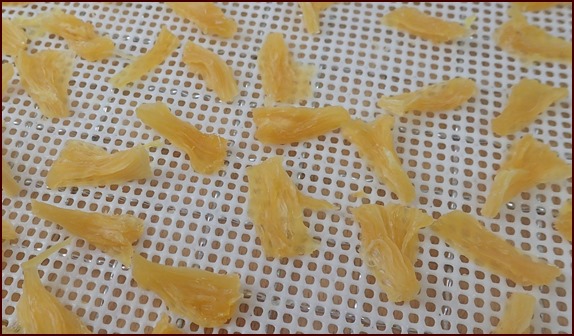 Dehydrated canned pineapple chunks.