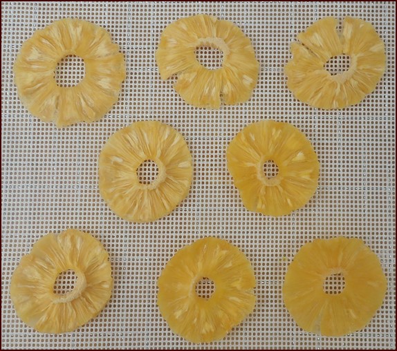 Dehydrated canned pineapple rings.