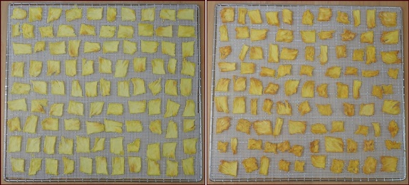 Dehydrated fresh pineapple comparison.