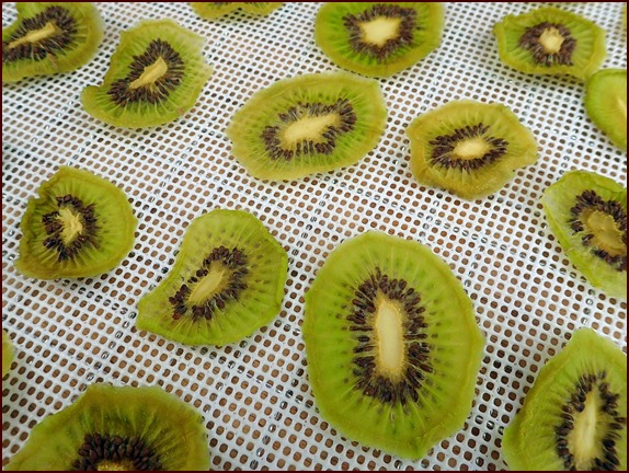 Dehydrated kiwi fruit slices.