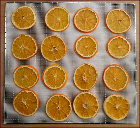 Dehydrated Orange Slices