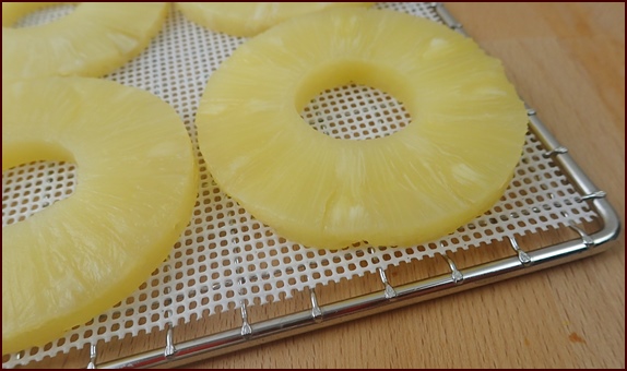 Dehydrating canned pineapple rings.