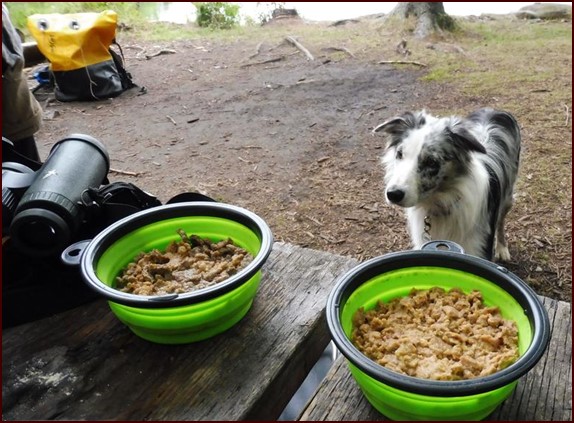 dehydrated dog food for backpacking