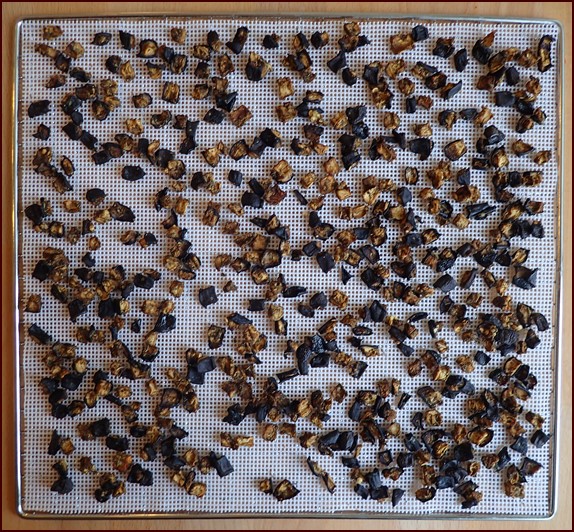 Dehydrated eggplant on dehydrator sheet.