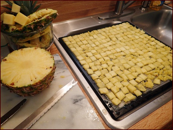 Fresh pineapple slices on Excalibur dehydrator tray.