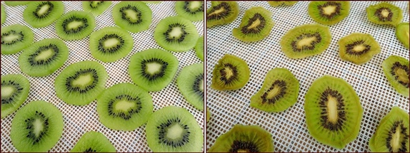 Dehydrating kiwi before and after.