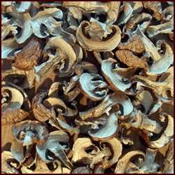 Dehydrating Mushrooms