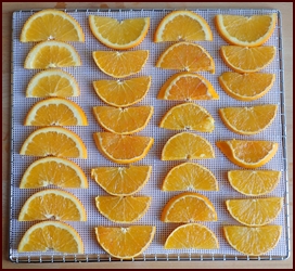 Dehydrating oranges on a silicone mesh sheet.