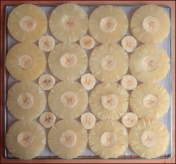 Dehydrating pineapple rings with bananas.