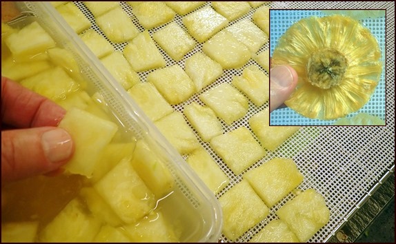 Dehydrating pineapple slices and rings with a banana in the middle.