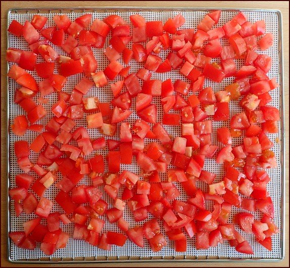 Diced plum tomatoes on mesh dehydrator sheet.