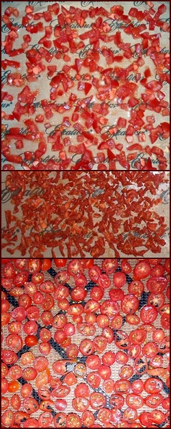 Dehydrating Tomatoes