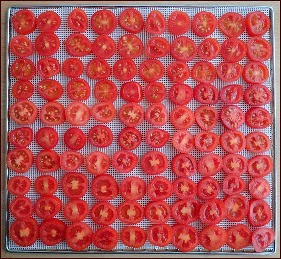 Sliced cherry tomatoes on mesh dehydrator sheet.