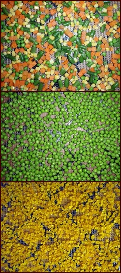 Dehydrating Frozen Vegetables