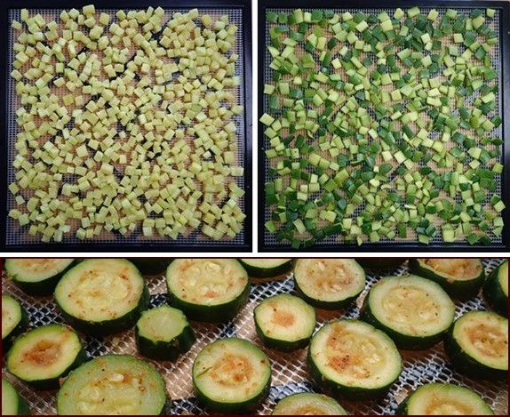 Dehydrating Zucchini: Cubes, Skins, Chips.