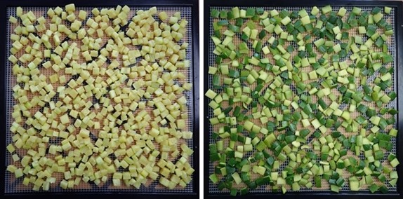 Dehydrating zucchini cubes and skins (before)