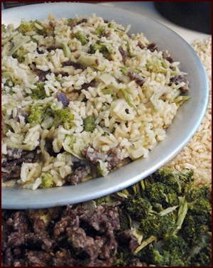 Beef & Broccoli with Rice.