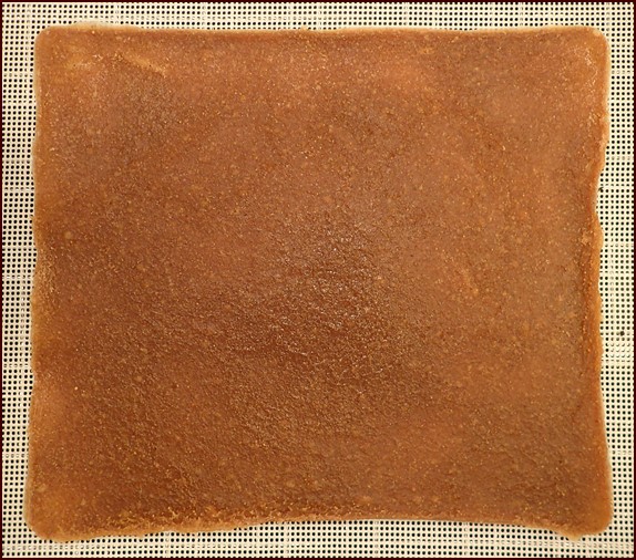 Dried fig fruit leather on silicone mesh sheet.