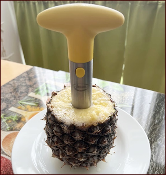 Ergonomic handle of Newness Pineapple Corer.