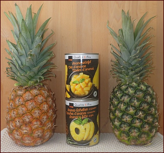 Fresh or canned pineapple for dehydrating.